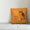 thumbnail image 3 of Creative Products Hoo's Ready for Halloween 16x16 Spun Poly Pillow, 3 of 3