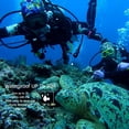 thumbnail image 3 of Cámara de acción FLhrweasw F60R 4K WIFI 1080P HD 16MP deportiva impermeable, 3 of 6