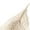 White, variant on Camisole Tops for Women Tank Tops Cami Bralette Spaghetti Strap Undershirts Slim Going Out Top White