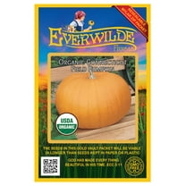 Everwilde Farms - 10 Organic Connecticut Field Pumpkin Seeds - Gold Vault Jumbo Bulk Seed Packet