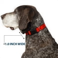 thumbnail image 6 of Buckle-Down Pet Collar, Dog Collar Plastic Buckle, Red, 9.5 to 14.5 Inches 0.5 Inch Wide, 6 of 8