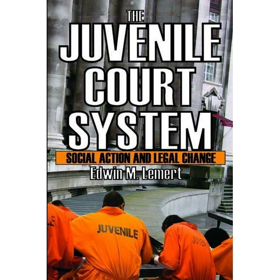 The Juvenile Court System: Social Action and Legal Change, (Paperback)