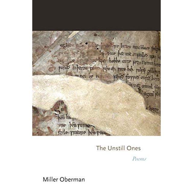 The Unstill Ones: Poems (Princeton Series of Contemporary Poets)