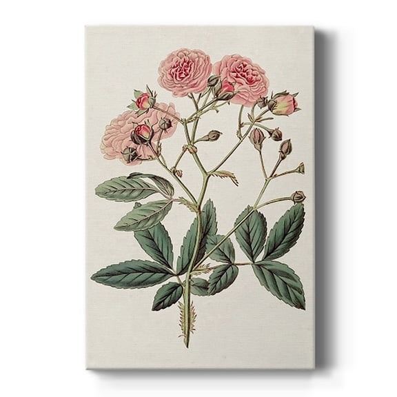 Pink Floral Mix V Premium Gallery Wrapped Canvas - Ready to Hang