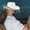 White, variant on Kojanyu Women's Sparkling Cowboy Hat,Five-Pointed Star Tassel Party Hat For Christmas Western Events