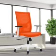 Ergonomic Function Mesh Office Chair with Lumbar Support, Adjustable