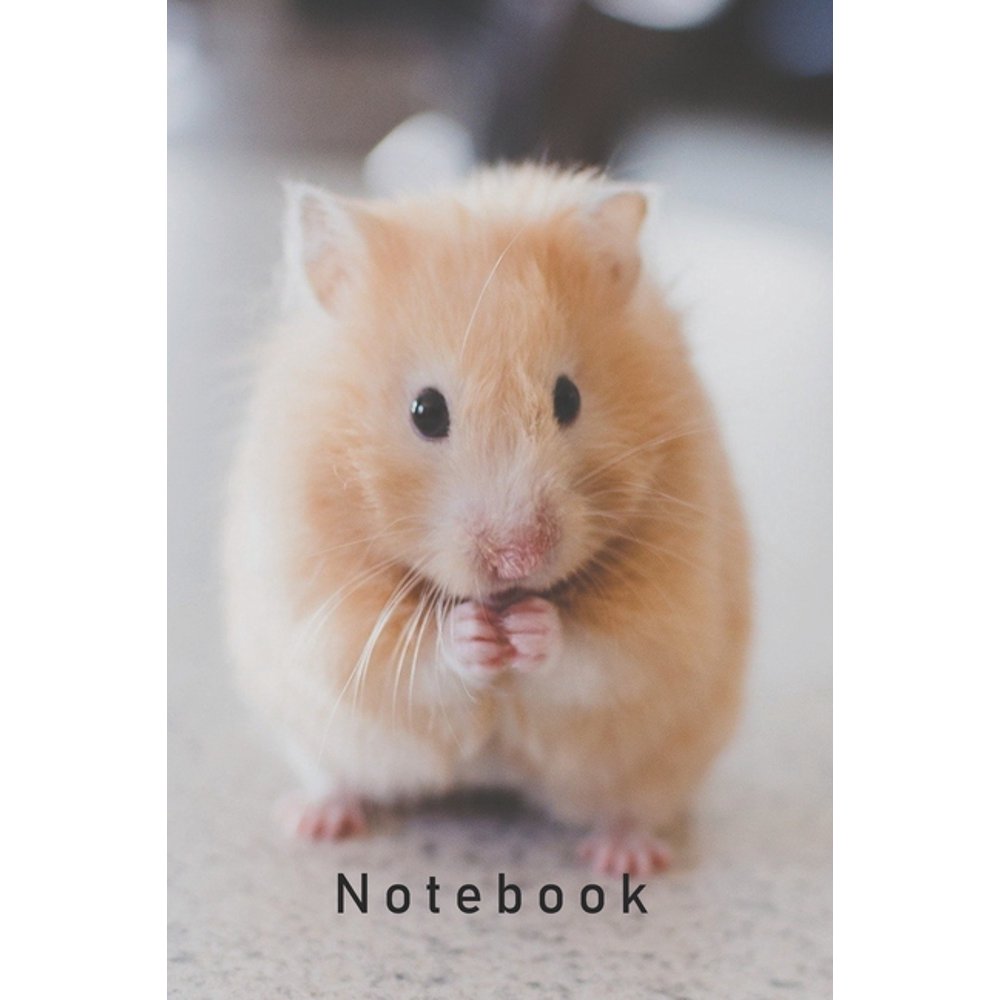 Notebook Hamster, hamster gift for kids120 Pages(6"x9") Matte Cover