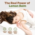 thumbnail image 5 of Lemon Balm Extract Powder 10:1 | Melissa Herbal Supplement 8oz, 5 of 8