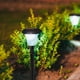 thumbnail image 4 of 20 piezas de estacas para lámparas de jardín, accesorios, luces solares, estacas de repuesto, estacas de repuesto, estacas para lámparas de jardín, 4 of 7