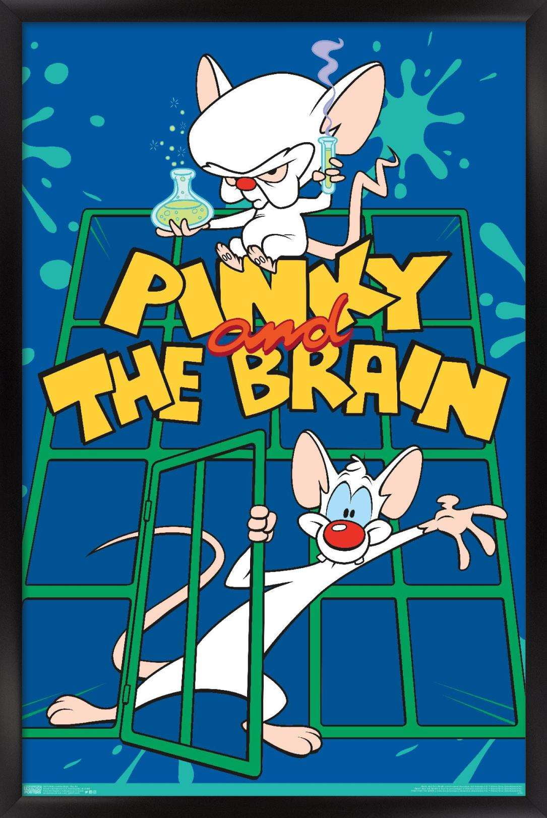 Pinky and the Brain - Key Art Poster - Walmart.com - Walmart.com