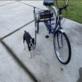 thumbnail image 2 of Dog Bicycle Exerciser Hands Free Bicycle Dog Mountable and detachable towing dog strap for cycling（1pcs）, 2 of 5