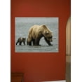 thumbnail image 2 of Wallhogs Bear II Wall Mural, 2 of 2
