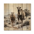 thumbnail image 3 of Designart "Camel Silent Strength painting" Animals Print on Natural Pine Wood, 3 of 5