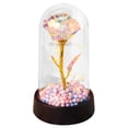 thumbnail image 2 of Forever Preserved Rose, Preserved Rose Gifts for Women, Eternal Gold Foil Red Rose in Plastic Dome with LED Light, Valentines Mother's Day Birthday Anniversary Gifts for Women Mom Wife Girlfriend Her, 2 of 9