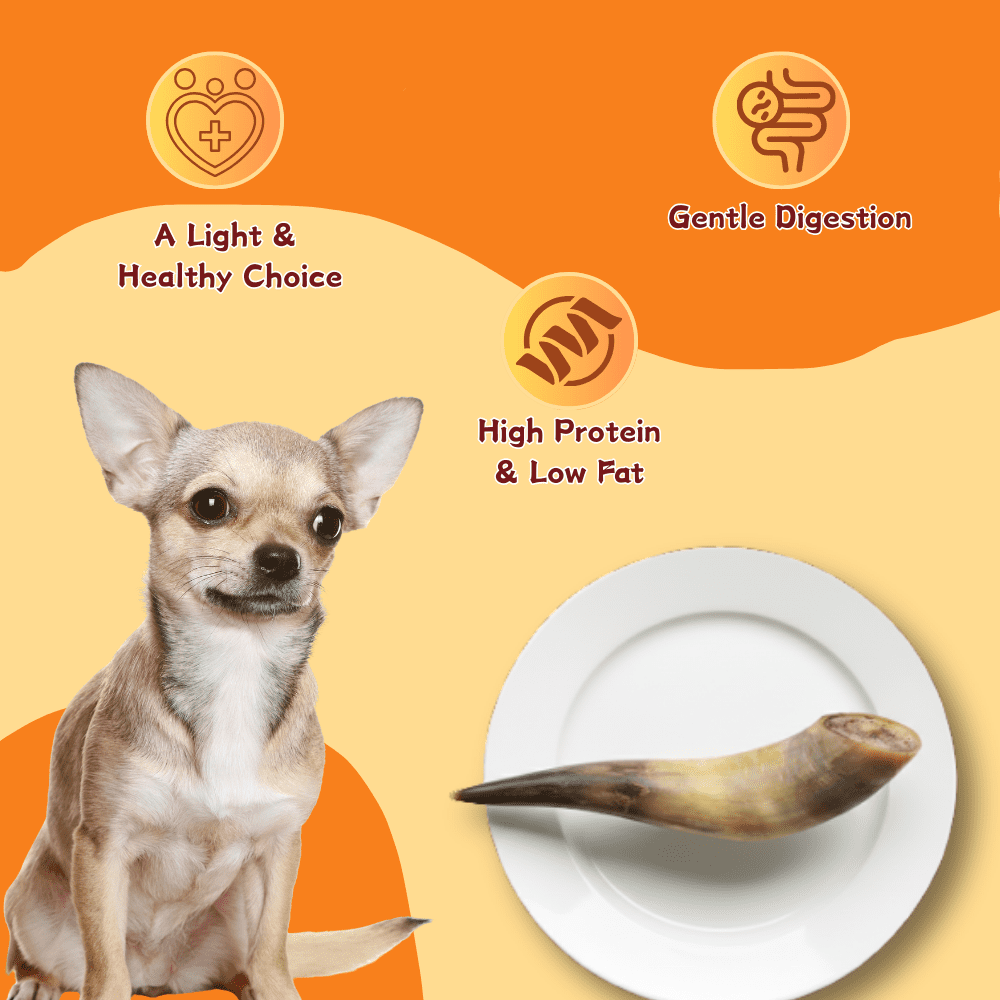 Tender Touch All-Natural Ox Horn for Dogs, A Whole and Hearty Single Ingredient Chew for Dental Care and Hours of Entertainment, 3-Count