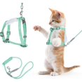thumbnail image 1 of Juego de transportador y correa para gatos, arnés de escape con gradiente ajustable para que los gatitos puedan caminar al aire libre (verde), 1 of 5