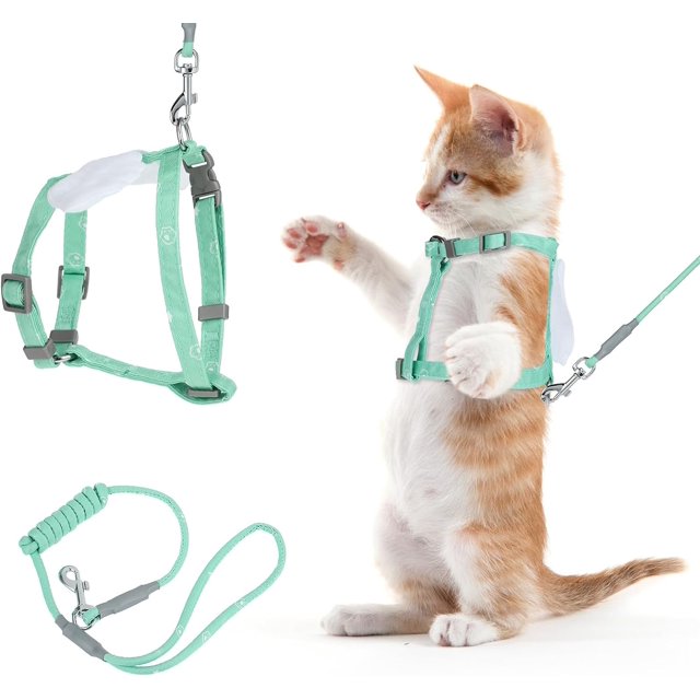 Juego de transportador y correa para gatos, arnés de escape con gradiente ajustable para que los gatitos puedan caminar al aire libre (verde)