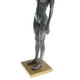 thumbnail image 4 of de anatomía femenina de 11 pulgadas - Escultura de pintura de modelo anatómico de y músculo , referencia anatómica para, 4 of 8