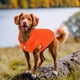 thumbnail image 3 of Ropa acolchada para mascotas Ropa para perros sencilla y de moda., 3 of 6