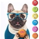 thumbnail image 2 of 6 unids/set perro cachorro juguetes divertidos bolas chirriantes de goma suave juguete para masticar hinchable para mascotas pequeñas y medianas Sailing Electrónica, 2 of 5