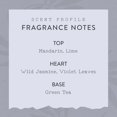 thumbnail image 4 of Bruma aromática ESSENTIALS Just Breathe Scent Beauty, 60 ml, 4 of 5