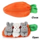 thumbnail image 3 of Conejitos de peluche a las escondidas en bolsa de zanahoria para Pascua, 3 of 5