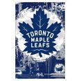 thumbnail image 1 of Maple Leafs de Toronto de la LNH - Logo maximaliste 23, 1 of 4