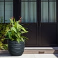 thumbnail image 2 of LuxenHome LuxenHome 13.4-Inch Round Waves MgO Planter, Black, 2 of 8