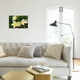 thumbnail image 4 of Plumeria Flowers, Island of Kauai, Hawaii, Botanical Unframed Photographic Print Wall Art by Russ Bishop Sold by Art.Com, 4 of 4