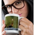 thumbnail image 2 of 3dRose, Black-bellied Whistling-Duck, Corpus Christi, TX - NA02 RNU0372 - Rolf Nussbaumer, 11oz Mug, 2 of 7