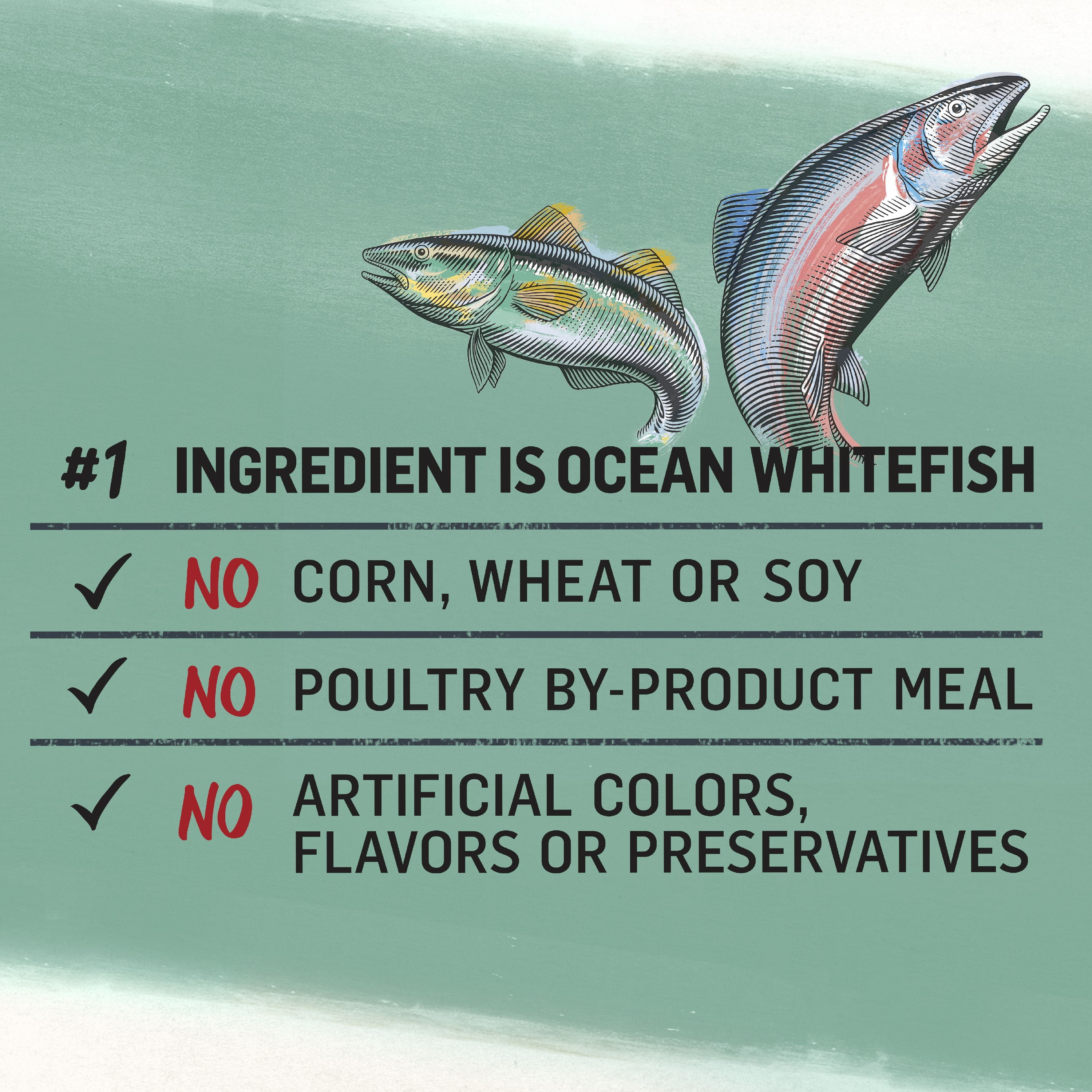 purina beyond ocean whitefish