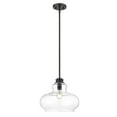 thumbnail image 2 of IN21251BK-Acclaim Lighting-Torrel 1-Light Pendant - 13.75 Inches Wide by 11.25 Inches High-Matte Black Finish, 2 of 5