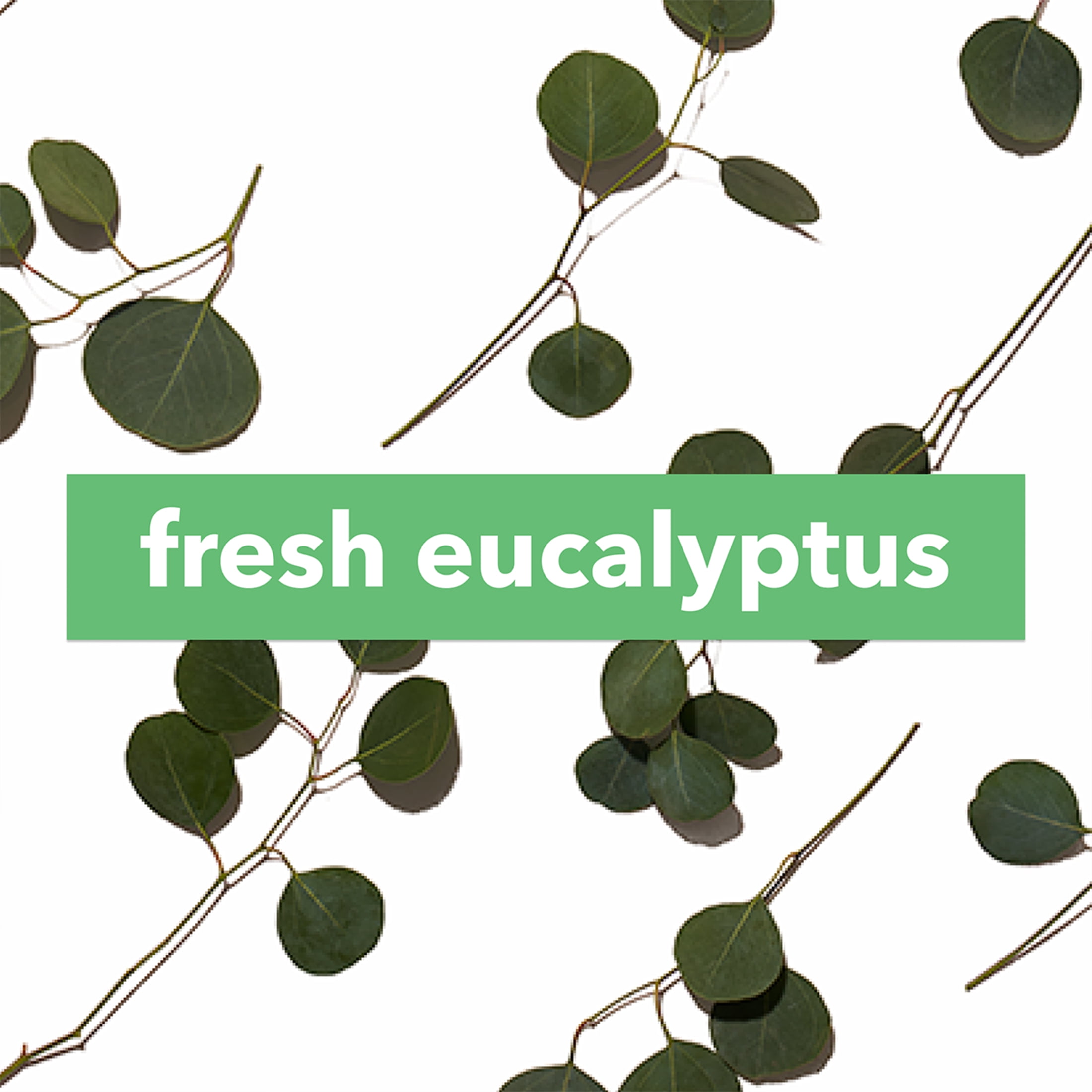 (3 pack) The Body Lab Fragrance Dose Fresh Eucalyptus 0.2 fl. oz.