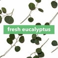 thumbnail image 4 of The Body Lab Fragrance Dose Fresh Eucalyptus 0.2 fl. oz., 4 of 9