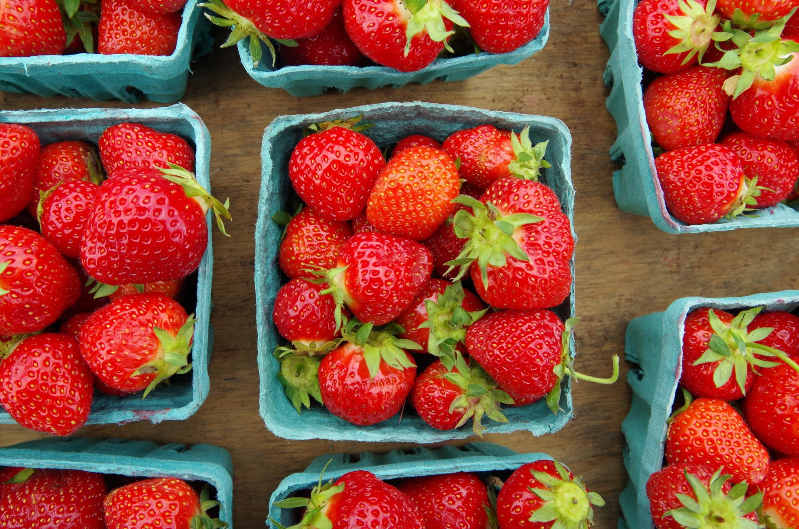 Hampton Distribution 15 Pack Green Berry Basket 1 Pint, Pulp Fiber Vented Produce Containers Farmers Market Basket, Fruit & Vegetable Containers