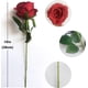 thumbnail image 3 of 12 Pack Artificial Roses, Artificial Flowers with 50cm Single Stem Affectionateness Fake Flower for Wedding Home Bridal Flower Arrangements Home Offic, 3 of 4