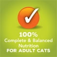 thumbnail image 4 of Purina Friskies Gravy Sensations Wet Cat Food Variety Pack, 3 oz Pouches (24 Pack), 4 of 9