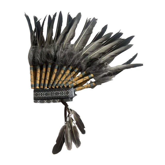 Sombrero americano, tocado de plumas artificiales, accesorios fotográficos para disfraces de baile