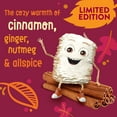 thumbnail image 4 of (2 pack) Kellogg's Frosted Mini-Wheats Pumpkin Pie Spice Breakfast Cereal Family Size Box, 20 oz, 4 of 14