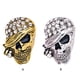thumbnail image 5 of Broches para las mujeres Glitter Aleación Pechuza Halloween Vintage Joyería Esqueleto Patrón Regalos Mantón Accesorios para Homme Party Antiguo Oro Advancent  AP004668-01, 5 of 7