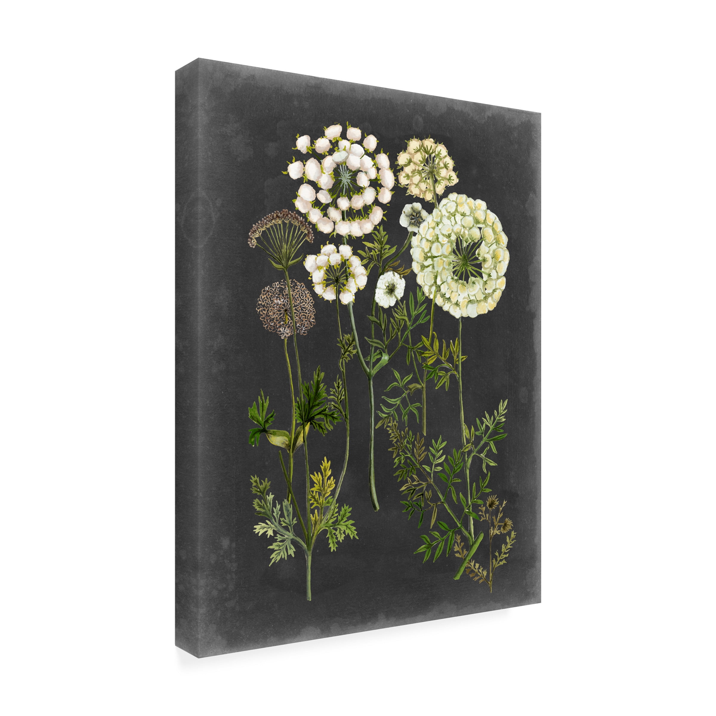 Trademark Fine Art Naomi Mccavitt Bookplate Floral Ii Canvas Wall Art - 35x47