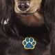 thumbnail image 2 of Etiquetas para mascotas en blanco jinwen colgante violeta, 2 of 5