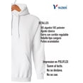 thumbnail image 3 of Canelo Alvarez No Boxing No Life Sudaderas, 3 of 3
