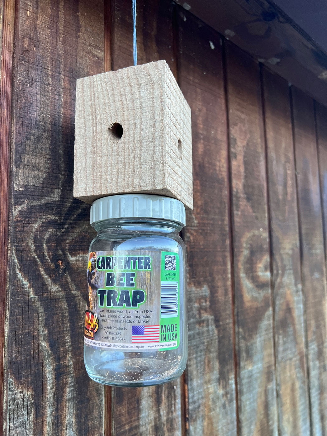 3pk- Carpenter Bee Trap