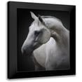 thumbnail image 1 of Avivi, Avishai 15x18 Black Modern Framed Museum Art Print Titled - Maggie, 1 of 5