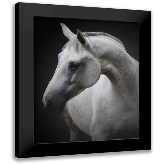 Avivi, Avishai 15x18 Black Modern Framed Museum Art Print Titled - Maggie