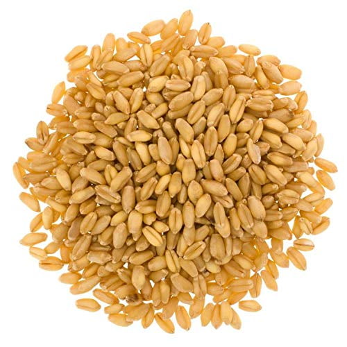 Soft White Wheat Berries • NonGMO • 25 lbs • Palouse Brand • USA Grown