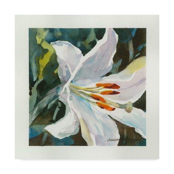 Trademark Fine Art 'Pure White Flowers' Canvas Art by Annelein Beukenkamp