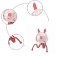 thumbnail image 2 of Mini Adjable Hanging Electric Fan D Portable Handheld Usb Charging Fan Er For Student Use, 2 of 5