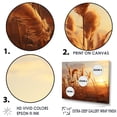 thumbnail image 3 of Designart "Dusk'S Embrace I" Prairies Floater Framed Canvas Wall Art, 3 of 5